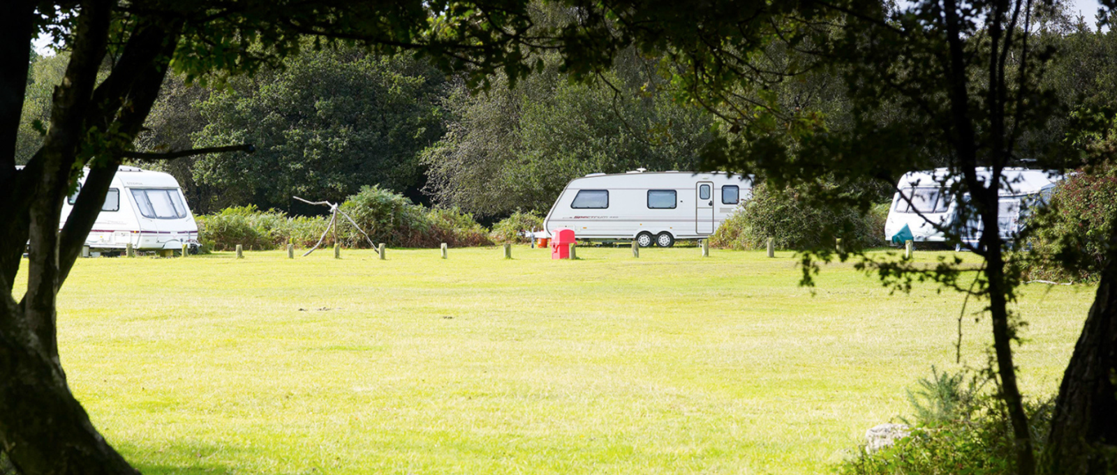 Longbeech Campsite, New Forest